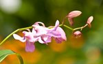 IMG_7646