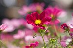 IMG_7671