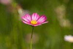 IMG_8028