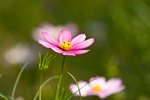 IMG_8031