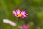IMG_8034