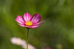 IMG_8035