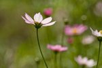 IMG_8038