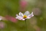 IMG_8040