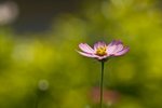 IMG_8050