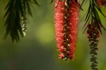 IMG_8052