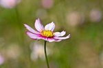 IMG_8219
