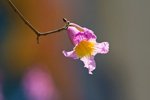 IMG_8235