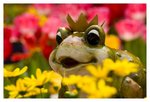 IMG_2004
