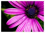 IMG_2147