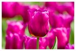 IMG_2249