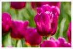 IMG_2255