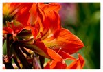 IMG_2351