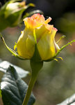 IMG_8049