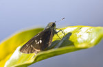 IMG_1870