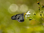 IMG_8277