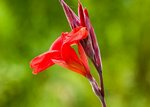 IMG_1609