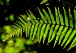 IMG_1620