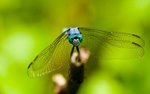 IMG_1639
