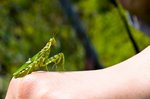 IMG_1654