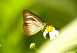 IMG_1784