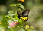 IMG_1807