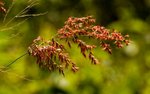 IMG_2907