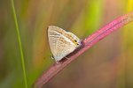 IMG_4480