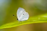 IMG_2804