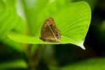 IMG_3302
