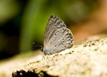 IMG_3347