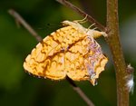 IMG_3842