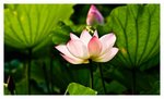 IMG_4700