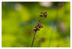 IMG_4744