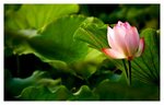 IMG_4789
