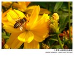 P1340420