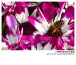 P1340424