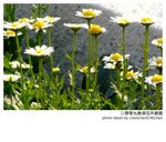 P1340443