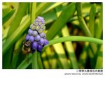 P1340472