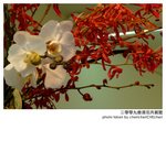 P1340552