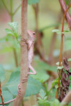A_DSC_8441