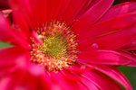 A_DSC_7506