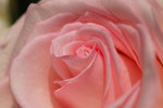A_DSC_7527