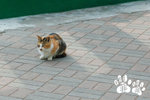 A_DSC_5662