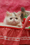 A_DSC_6197