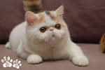 A_DSC_7655