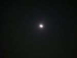 DSC04395