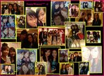 all photo