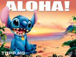 stich