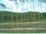 SDC10430